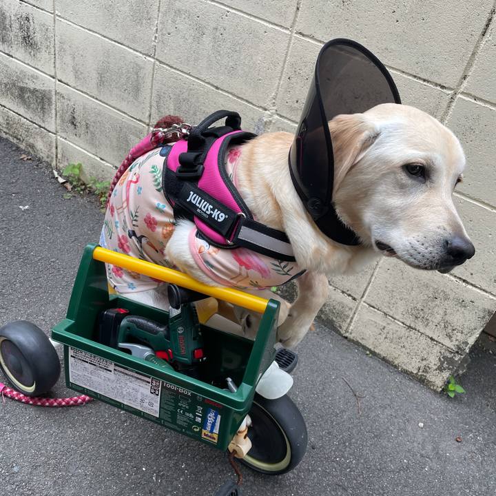 374a1821 54f4 4f1f 842f 532cfe34bc4f 1622675430190