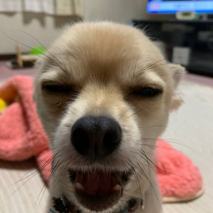 374a5109 2987 4755 ab5d e342949f251c 1594158616791