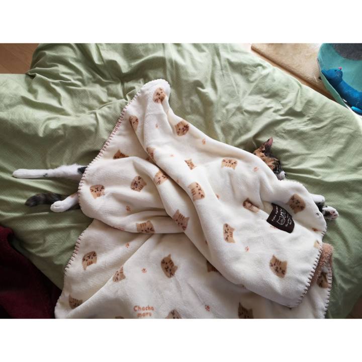 374a5449 e2e1 4fc8 82d1 b14ec2e348b9 1604029747636