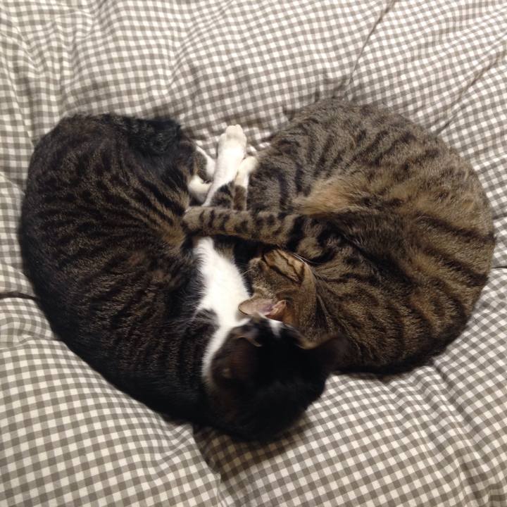 374a5cc7 5b1c 4e67 91d7 e4a8d06d1a38 1512145939670