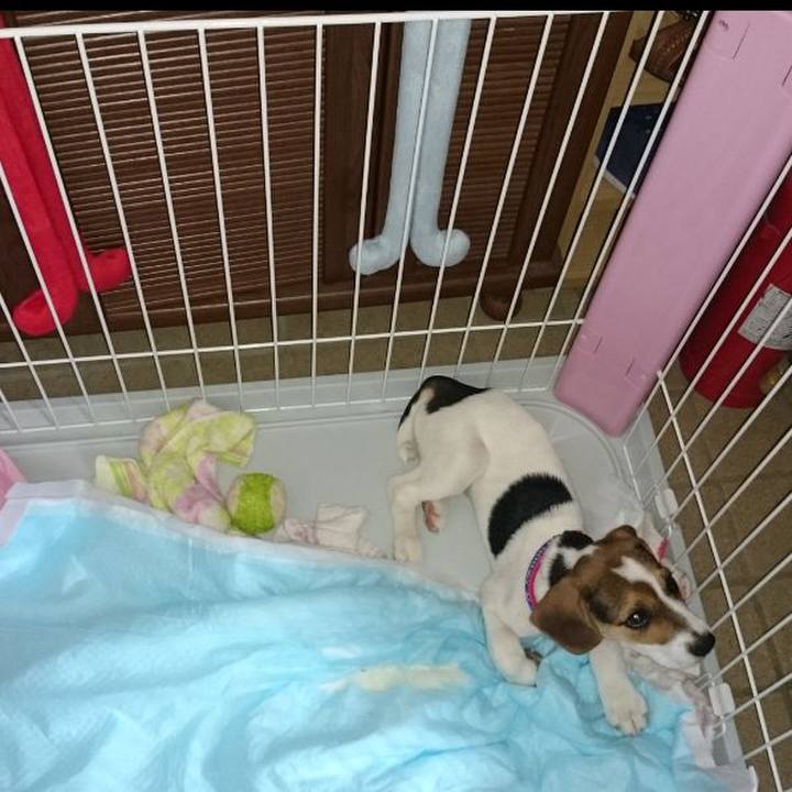 374a604b 6ab8 4eb2 b277 e49863fe6502 1600936589845