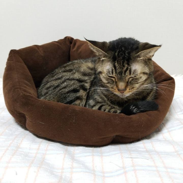 374aaa04 5b28 46e6 bd5a 16f9dfc0ec7d 1573507761492