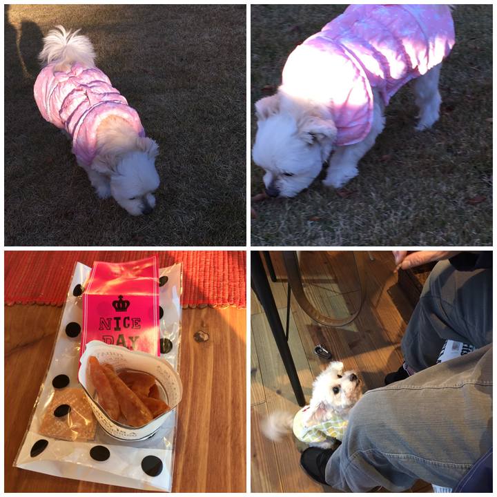 374af9ce b5ff 49c6 97c8 3ae4315f5a18 1544871732925