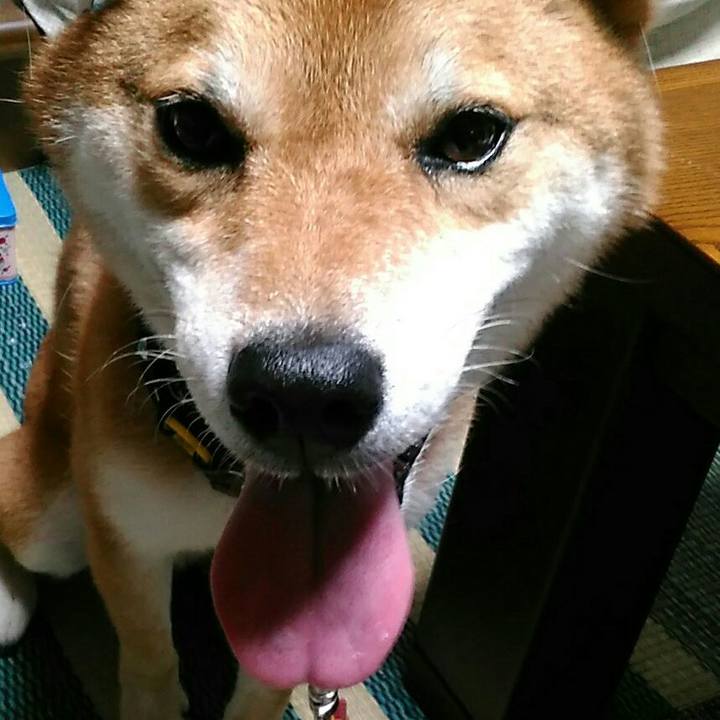 374b05f7 68c7 4dd7 aee6 a2cb0fa205e1 1568107458409