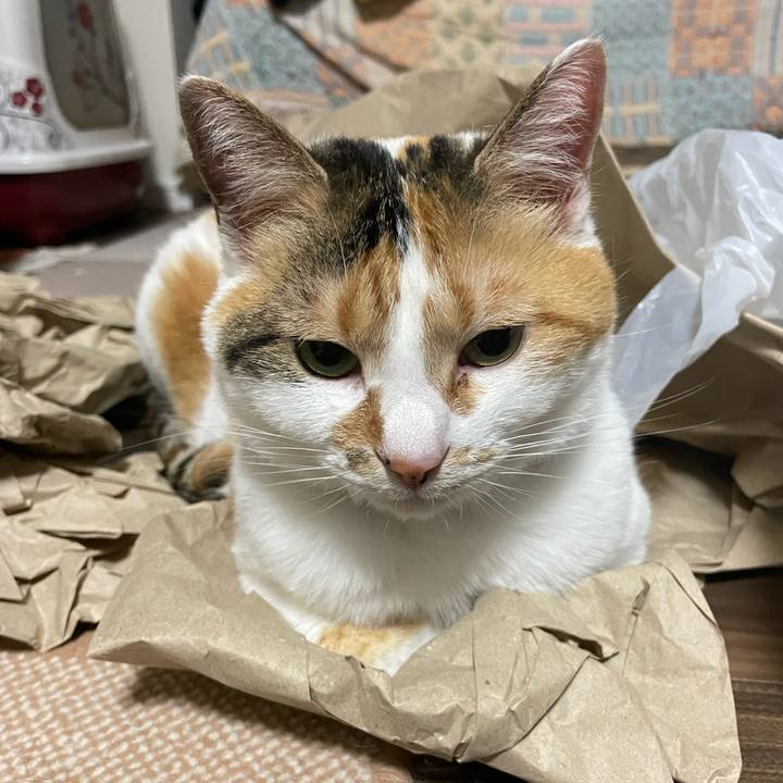 374b1e7f 47e4 4dbf a328 a071722304ab 1714484021994