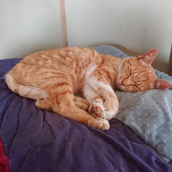 374b7078 82f1 4bd1 88be f9df4e6b3f04 1592090735140