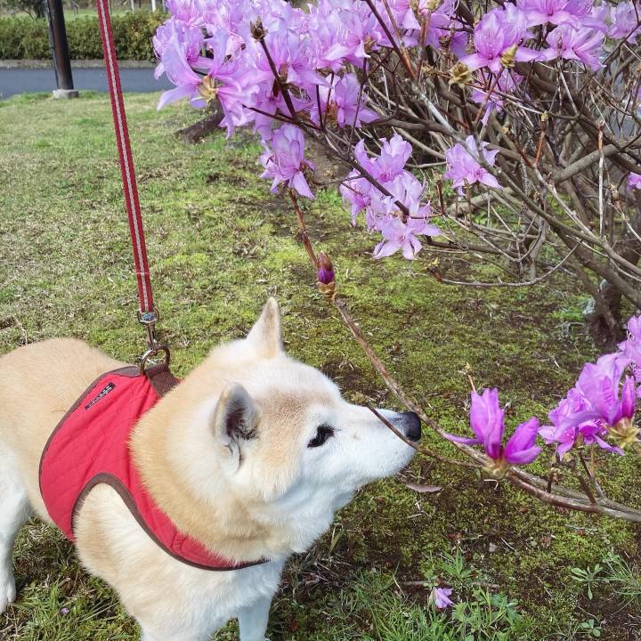 374b996c 4d16 4cfc 916a e851acc6f945 1731307013149