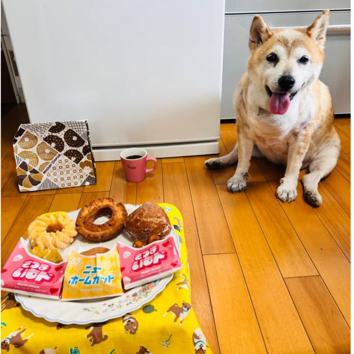 374bb586 a4af 4554 a15b e6761dbecf04 1756352512526