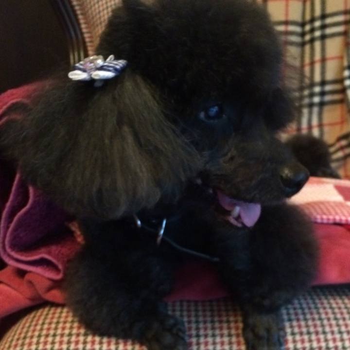 374bd05f 4128 4172 8d12 3093ae146105 1556086808050