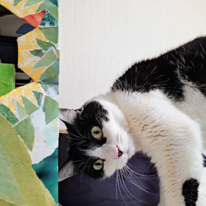 374bfdf4 99b0 42de 99f6 8454483b90c7 1773650084508