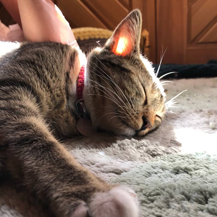 374c6c14 d4a8 41b7 9c4e 3d12c64f84d2 1570928204110