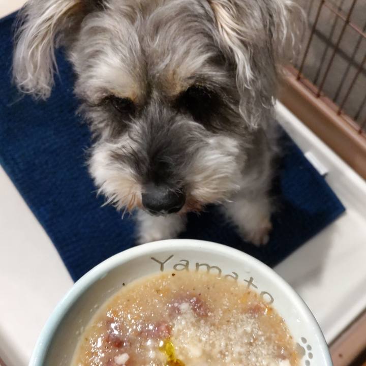 374ca93f 0ba6 42d3 be66 d6c23b0426eb 1683843596792