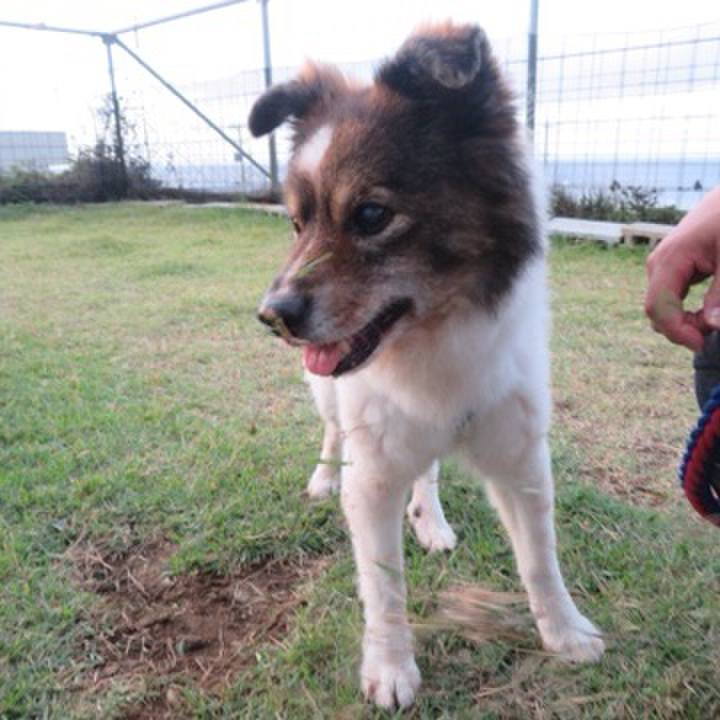 374cb18d 8df2 4138 bdc3 560cbda87e29 1604668485697