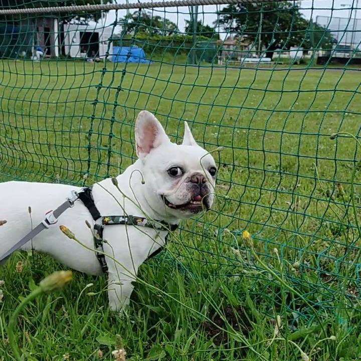 374cdea8 8b8d 44fb b193 9fd6c57345ef 1653555436328