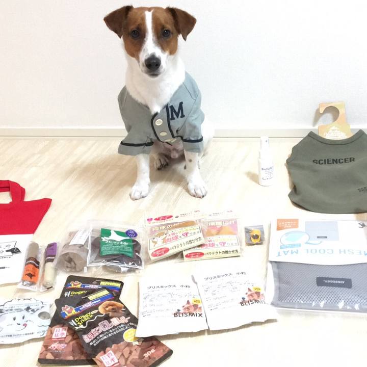 374d02c4 89d4 45d2 91f9 a7800440a037 1522581308689