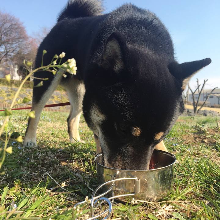 374d5d36 e05a 4429 b11b bc0cb8904a0e 1521291939072