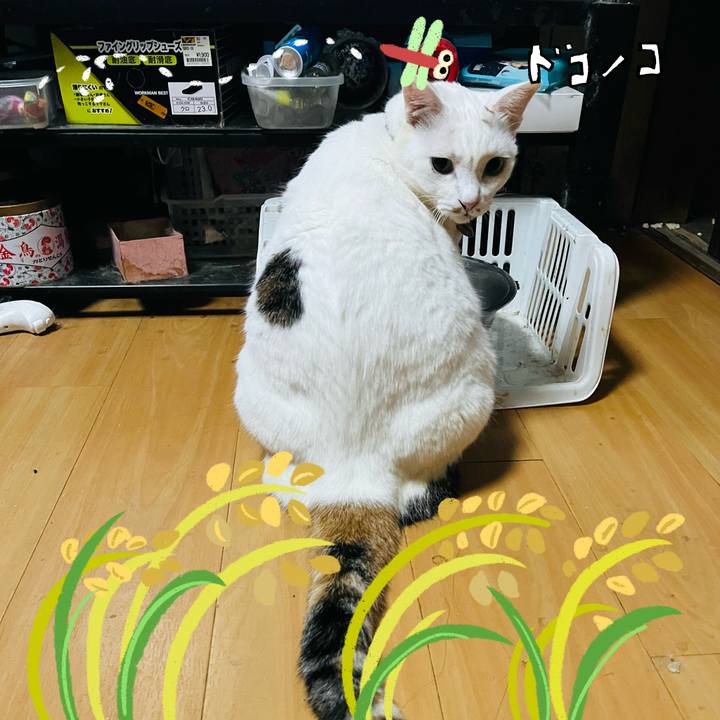 374d7c4a b075 4d61 a0d7 6405f27dfb22 1761593937628