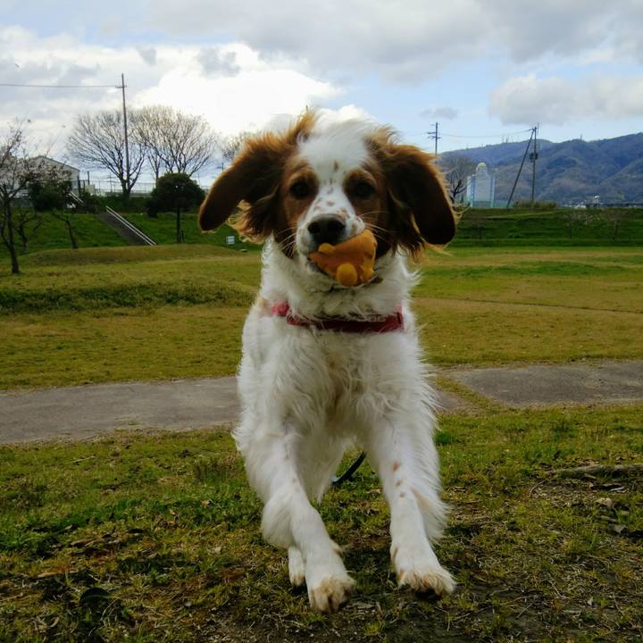 374d8421 8b43 499e be63 5777918d2de1 1554192304791