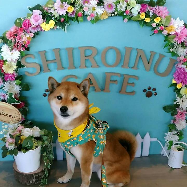 374d8b69 a72a 470e 9791 464b3b025542 1553406003337