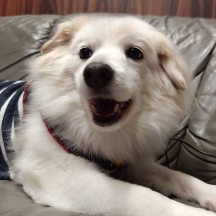 374da5b5 37a5 448a a3d0 047b58235183 1707313142508