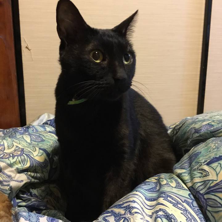 374da77a 3fbb 4e5c 9c78 5e49ce1d61b6 1511184295756