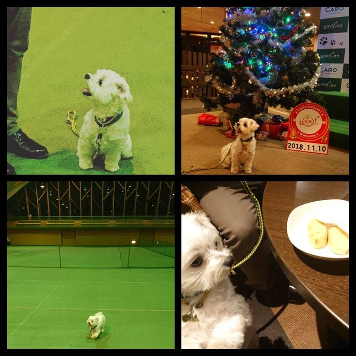 374daa95 074a 4281 be00 ba42c3565b10 1541857212355