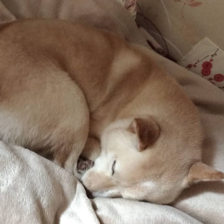 374df756 d7fe 4998 9c60 b24904f4ddf8 1550233243332