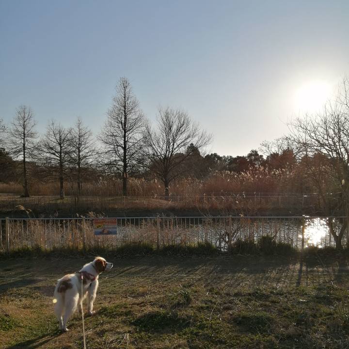 374dfb86 fa1c 41f3 bd7b ff91ba86c823 1613733865692