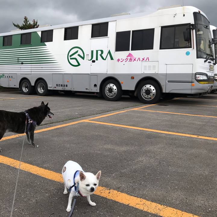 374e1b3f cd2f 4afd a980 1ce5433815ff 1595415176544