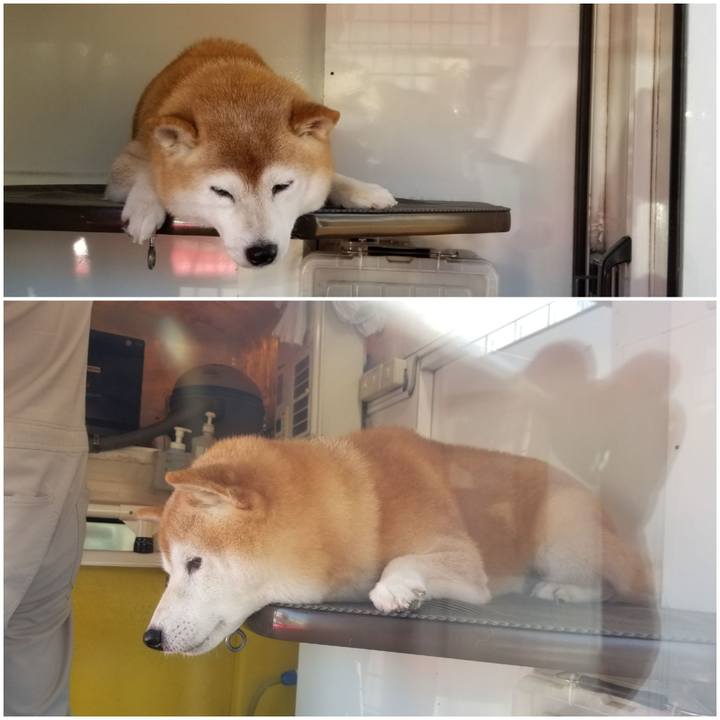 374e27ac 9fad 4d57 b279 2cf33c99a369 1697075027327