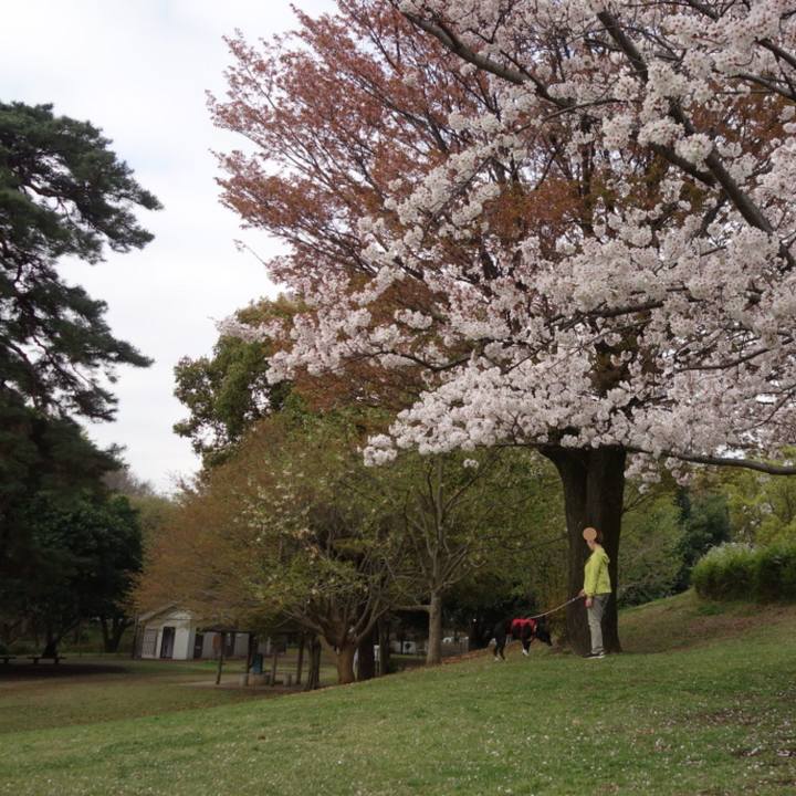 374e3d8f eb38 4cdb aa79 c2c061d704ea 1680050735979