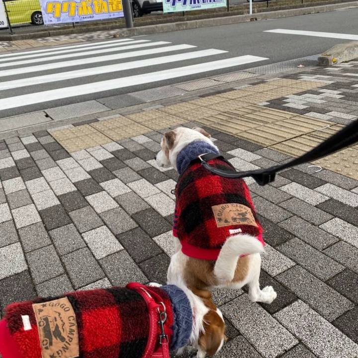 374e65fd 125e 407f 8fc1 6322bb943c3d 1766915520257