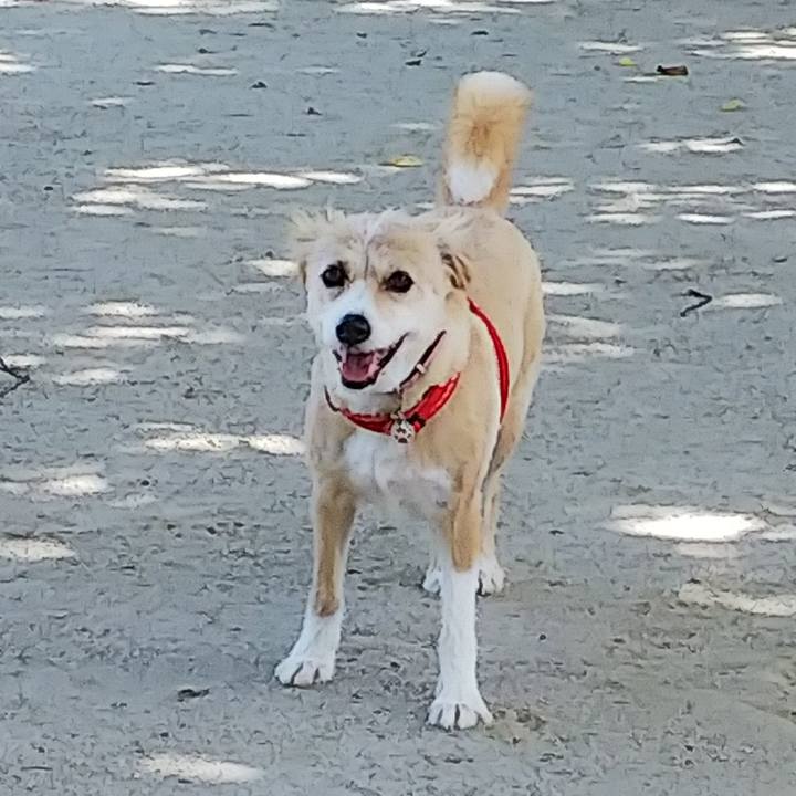 374e73f2 f195 491c 8e67 51bcf15fd62c 1534552335365