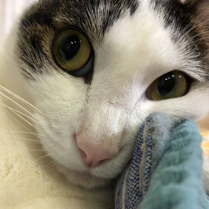 374eaa43 fd43 4ade a81b 12139b75ba77 1631965293995