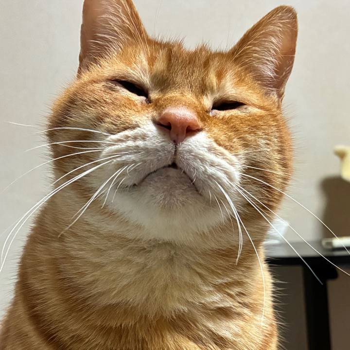 374ec371 b5a7 401e a309 03b2406c77ad 1743427423299