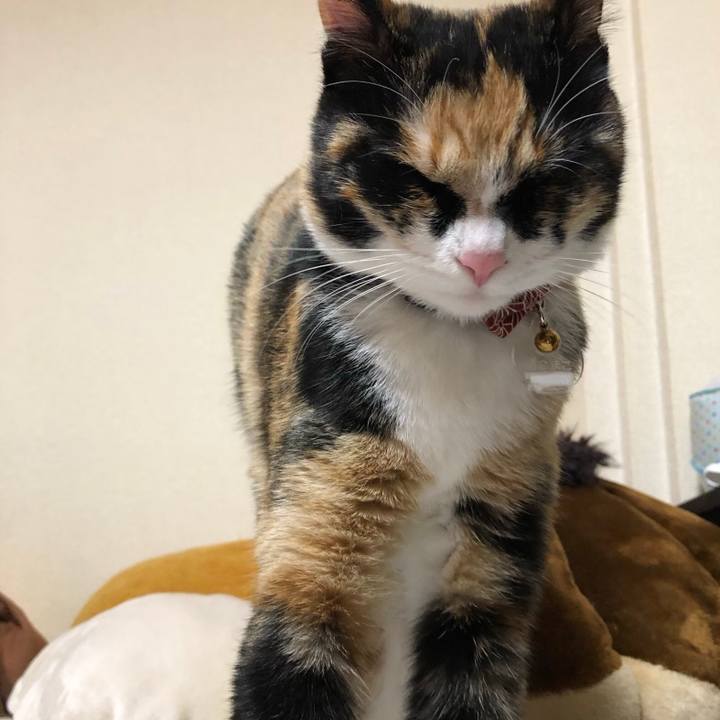 374ec88b 3100 4bc8 be88 28fcd03a831d 1555059819059