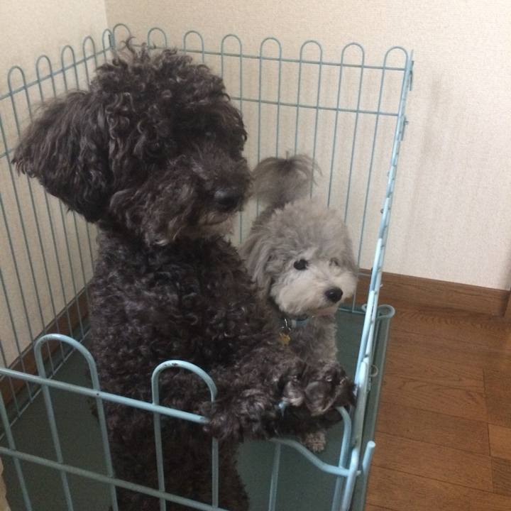 374ed239 ffb9 41d3 816c 5805c0ae2811 1747039003479