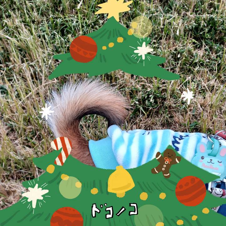 374f0342 77c7 4621 b9db d8ccd376d1a4 1762297786158