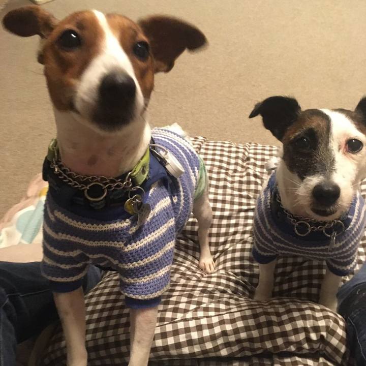 374f3147 4d19 435b 85d3 f19e70b7814c 1576678978559