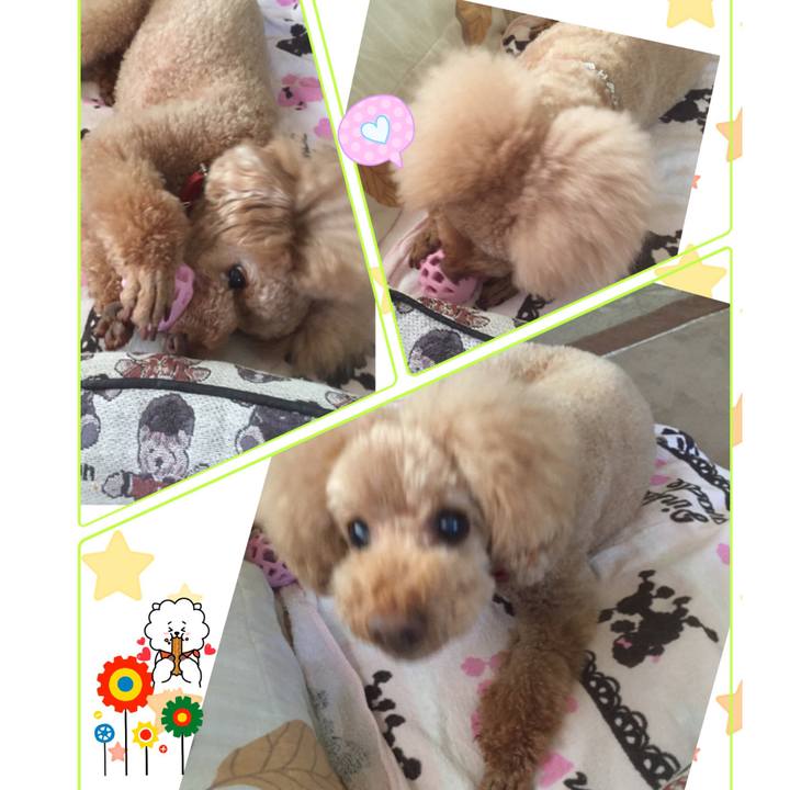 374f3350 68d5 4e51 b0ca 92e98eb0325a 1524902156853