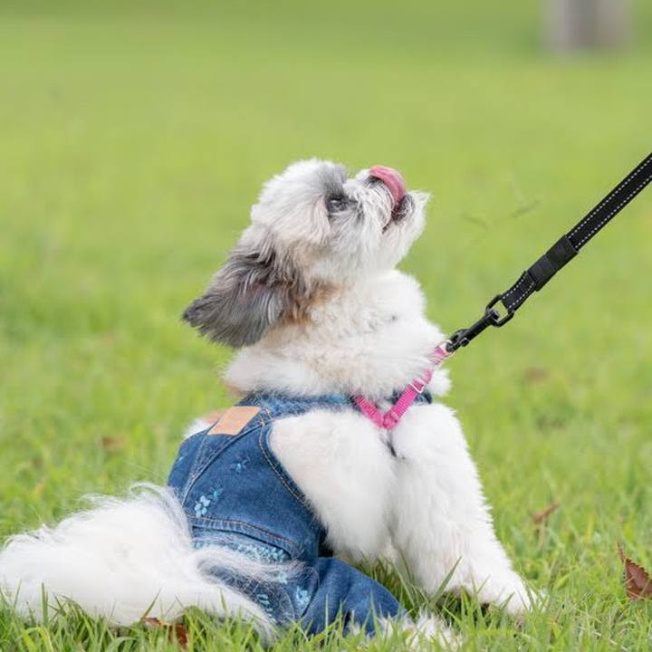 374f4e2c 28e6 4fb5 8e6f 95992b566376 1569744938999