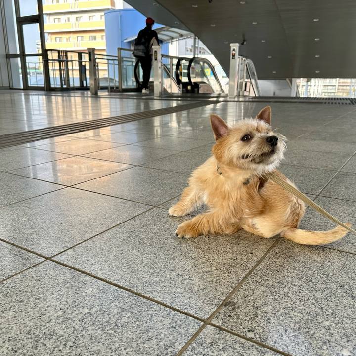 374f8f3d 8541 48df ab26 83fc452fe8cd 1710653606131