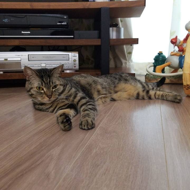 374f9d6a b5f7 46f5 acf4 bdee0c4d84ab 1564173957087