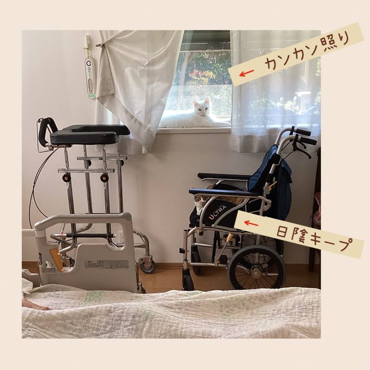 374fb153 6e67 4c9e 851c 84c85badffc5 1656150381174