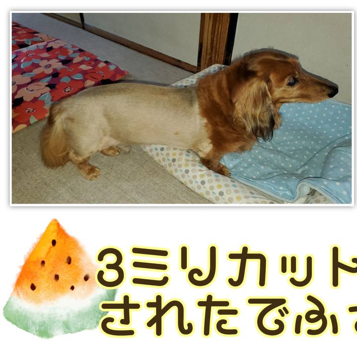 374fb574 91f3 4d87 8dff b6f9037fcbfc 1626494469359
