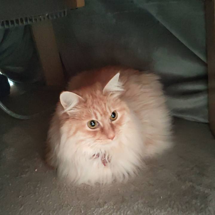 374fb6de d683 4cf6 af03 ad0efba19a2b 1710909135900