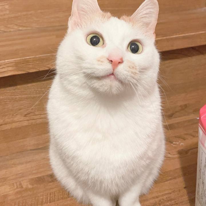 374fc0bf 5a92 476c bf04 140bcc5e8a9b 1646912782807