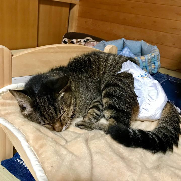 374fe4a6 bc21 429b a8be 2d814c14643f 1539352592072