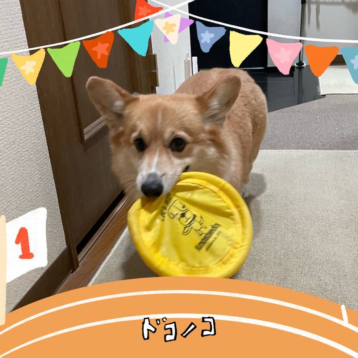 3750090e 5ce3 4264 9b9a f64db1f09efe 1761226763098