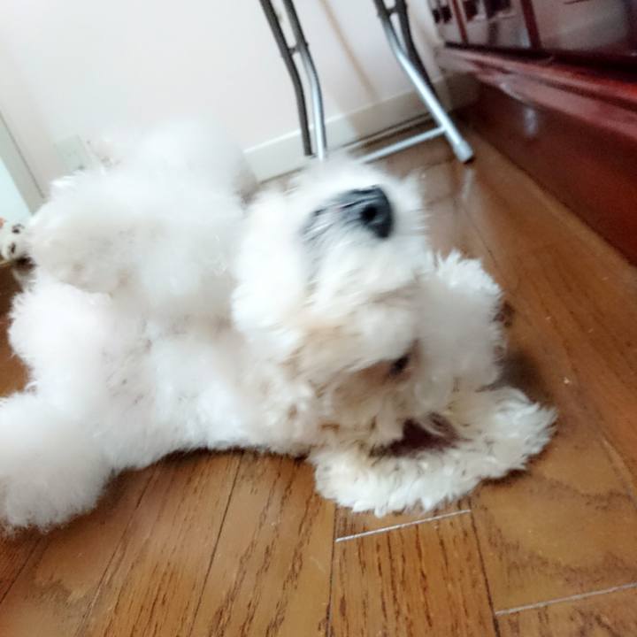 37503ab2 dece 4f6f ae2a 8b513723a936 1521540948979